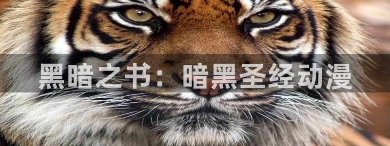 全职法师第1季樱花动漫：黑暗之书：暗黑圣经动漫