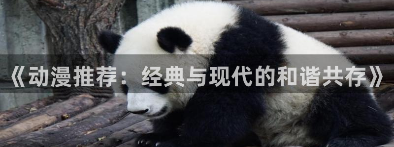 樱花动漫风车网：《动漫推荐：经典与现代的和谐共存》