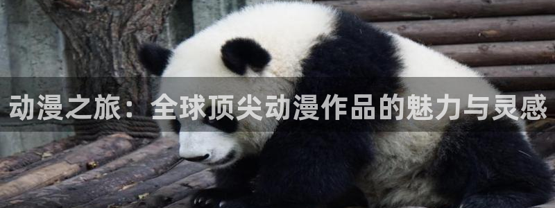 樱花动漫看无颜之月：动漫之旅：全球顶尖动漫作品的魅力与灵感