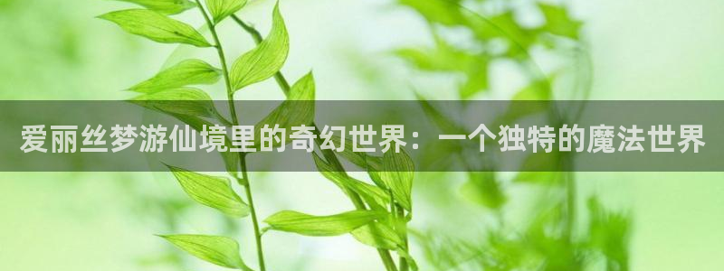 龙珠超樱花动漫免费全集：爱丽丝梦游仙境里的奇幻世界：一个独特的魔法世界