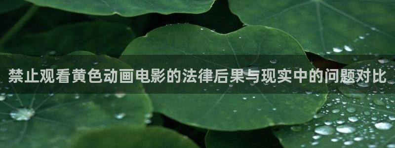龙族动漫全集免费看樱花动漫：禁止观看黄色动画电影的法律后果与现实中的问题对比